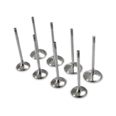 Yamaha + Kawasaki Replacement Valves -Titanium Valves R6, ZX6R, ZX-R6, 636, ZX636