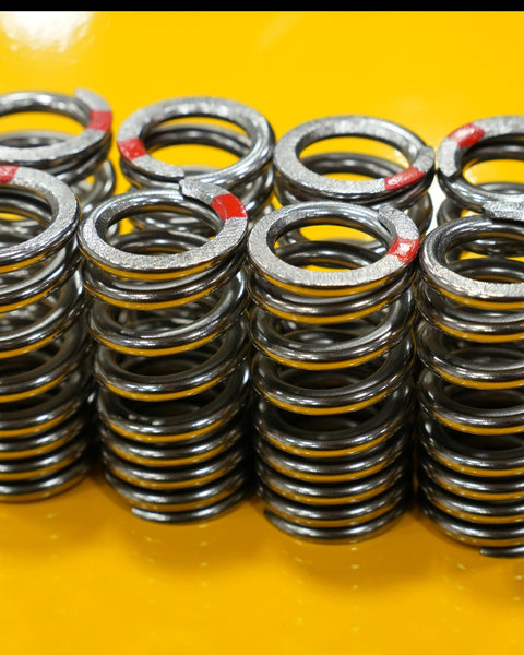 トリートメント Spring EDR ZX-6R 636 ZX6 Race kit valve spring kit 2009 - 2026 – EDR