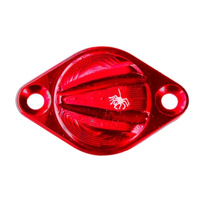 Spider Racing Timing Inspection Protection- Ducati V4/S