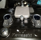 Kawasaki Ninja 650 / ER 650 / Z650 Smog Block Off Plate