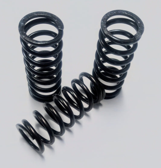 EDR Ninja 400 500 ZX4R ZX4RR Z500 WORKS Clutch Spring Kit Kawasaki