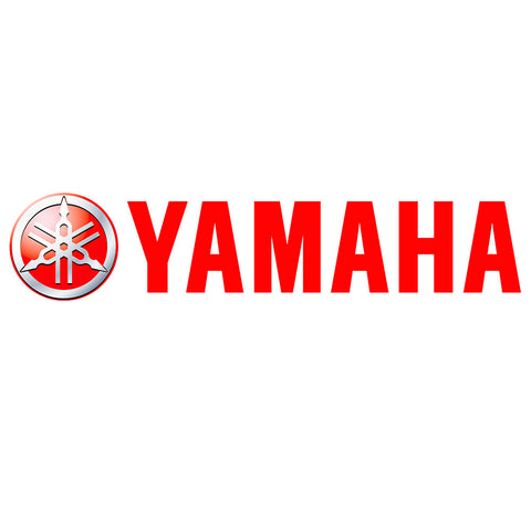 ECU Re-Flash Yamaha